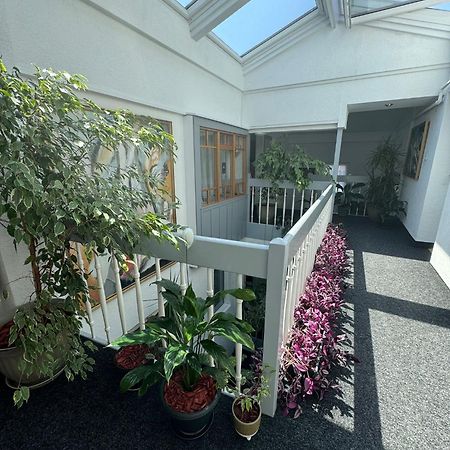 Villa Helvetia Târgu-Mureş Eksteriør billede